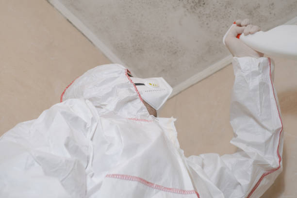 Professional Mold Remediation in Cloverdale, IN